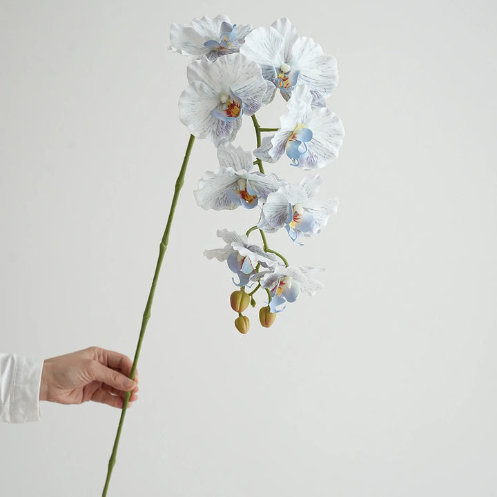 Faux Phalaenopsis Orchid Flowers