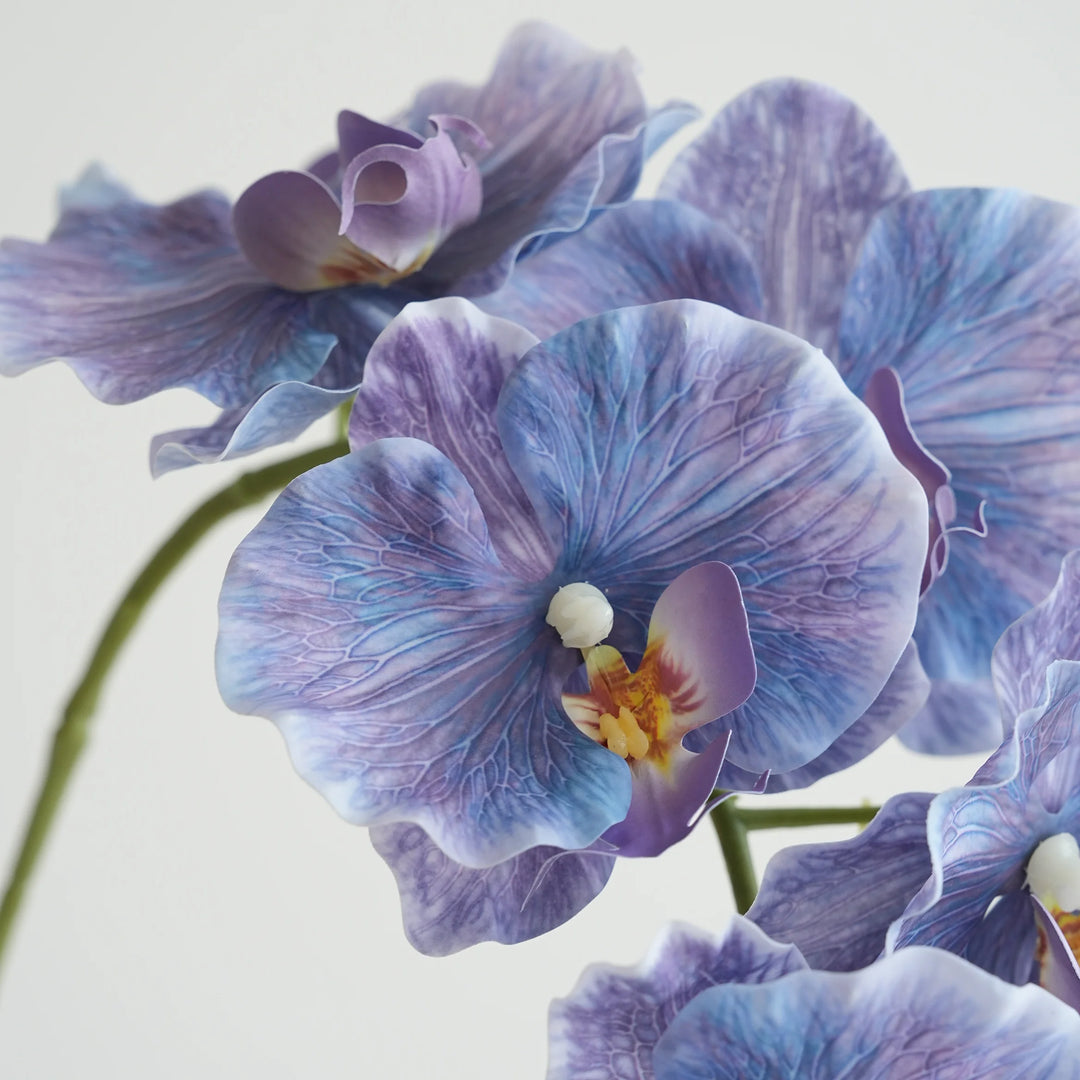 Faux Phalaenopsis Orchid Flowers