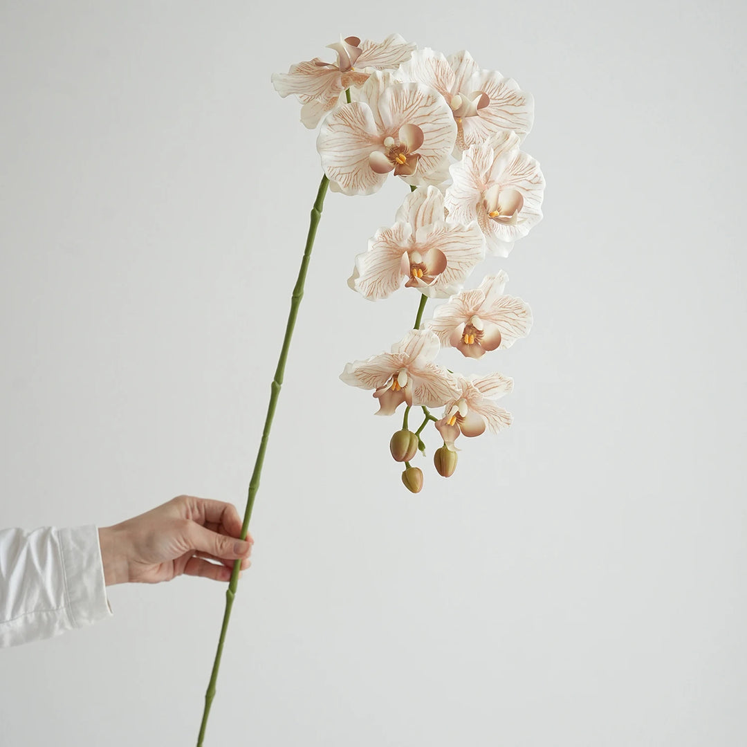 Faux Phalaenopsis Orchid Flowers