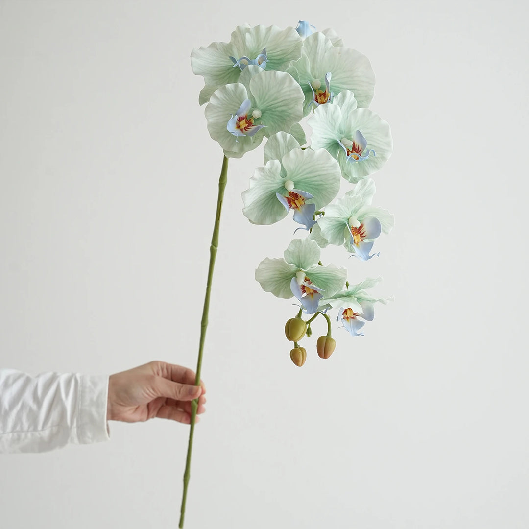 Faux Phalaenopsis Orchid Flowers