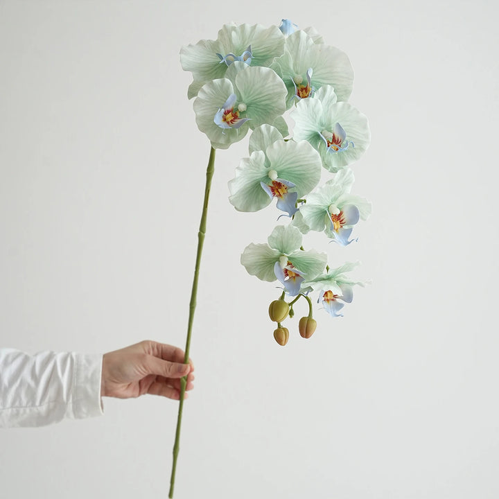 Faux Phalaenopsis Orchid Flowers