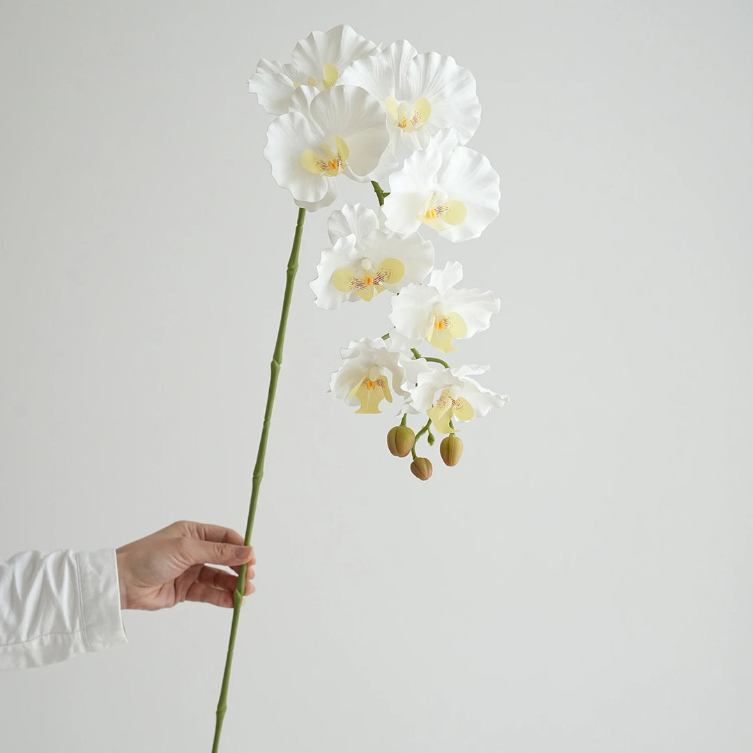 Faux Phalaenopsis Orchid Flowers