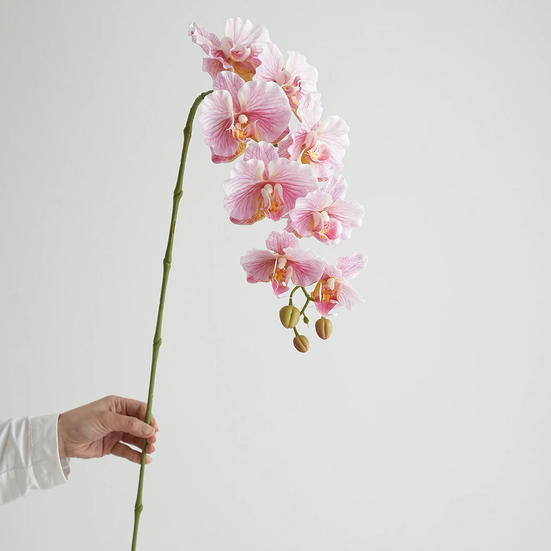 Faux Phalaenopsis Orchid Flowers