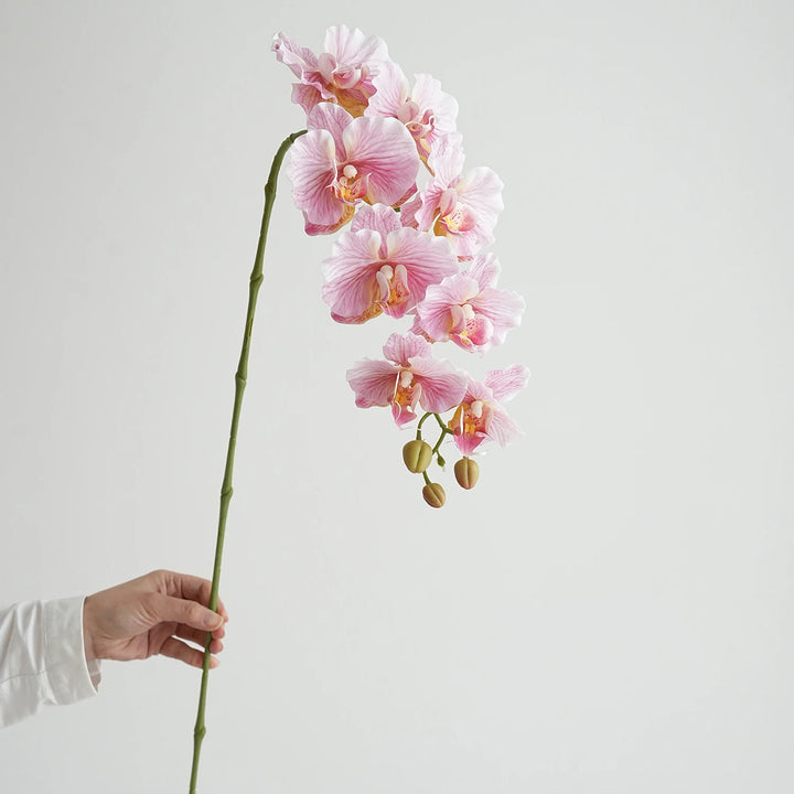 Faux Phalaenopsis Orchid Flowers
