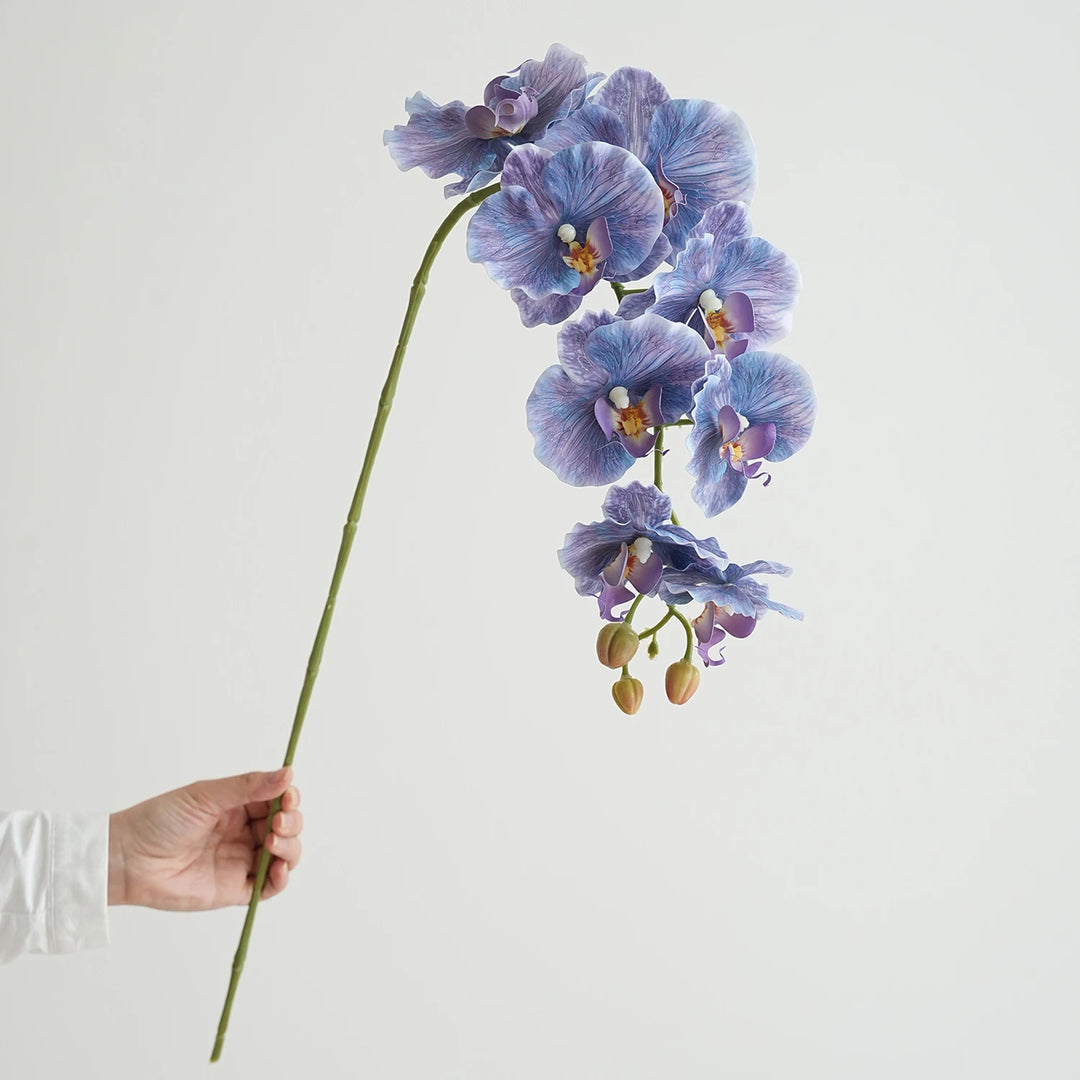 Faux Phalaenopsis Orchid Flowers