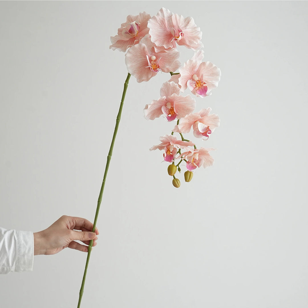 Faux Phalaenopsis Orchid Flowers