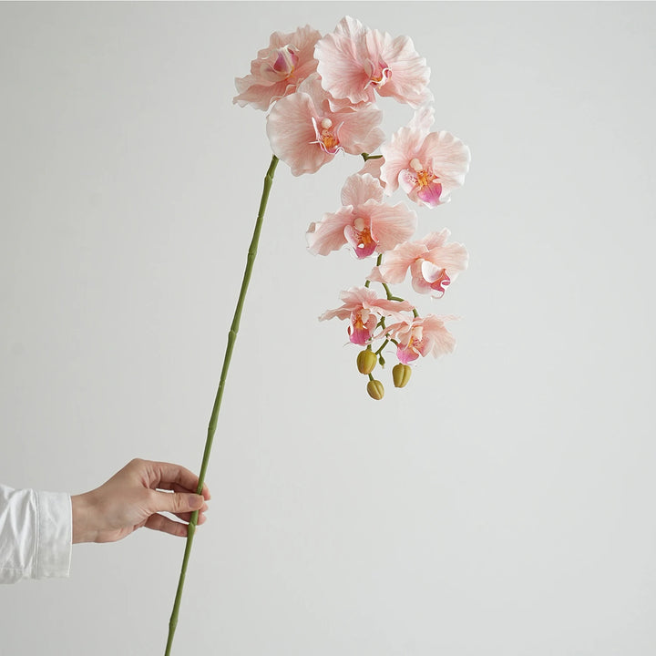 Faux Phalaenopsis Orchid Flowers