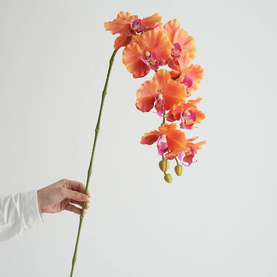 Faux Phalaenopsis Orchid Flowers