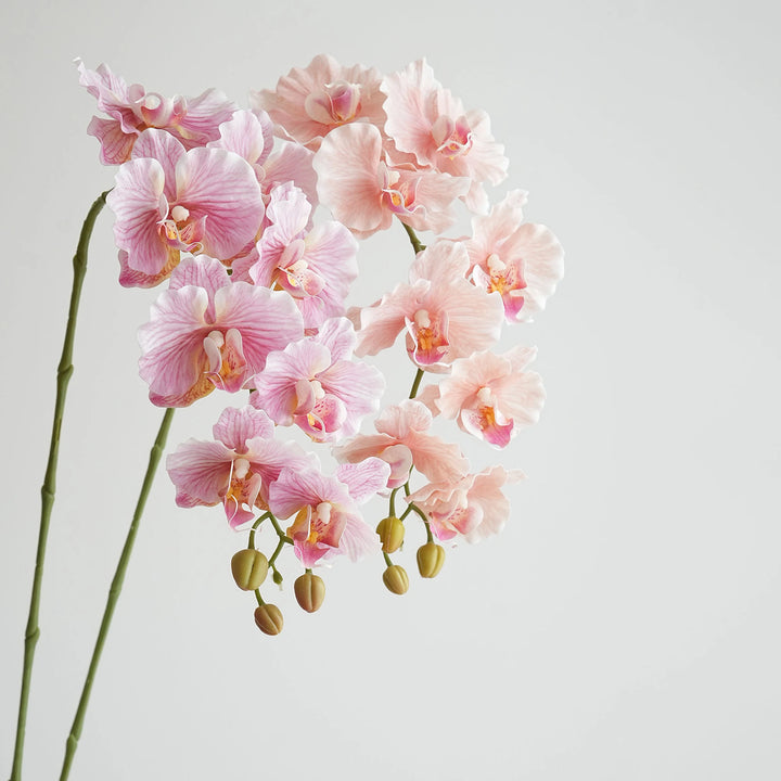 Faux Phalaenopsis Orchid Flowers
