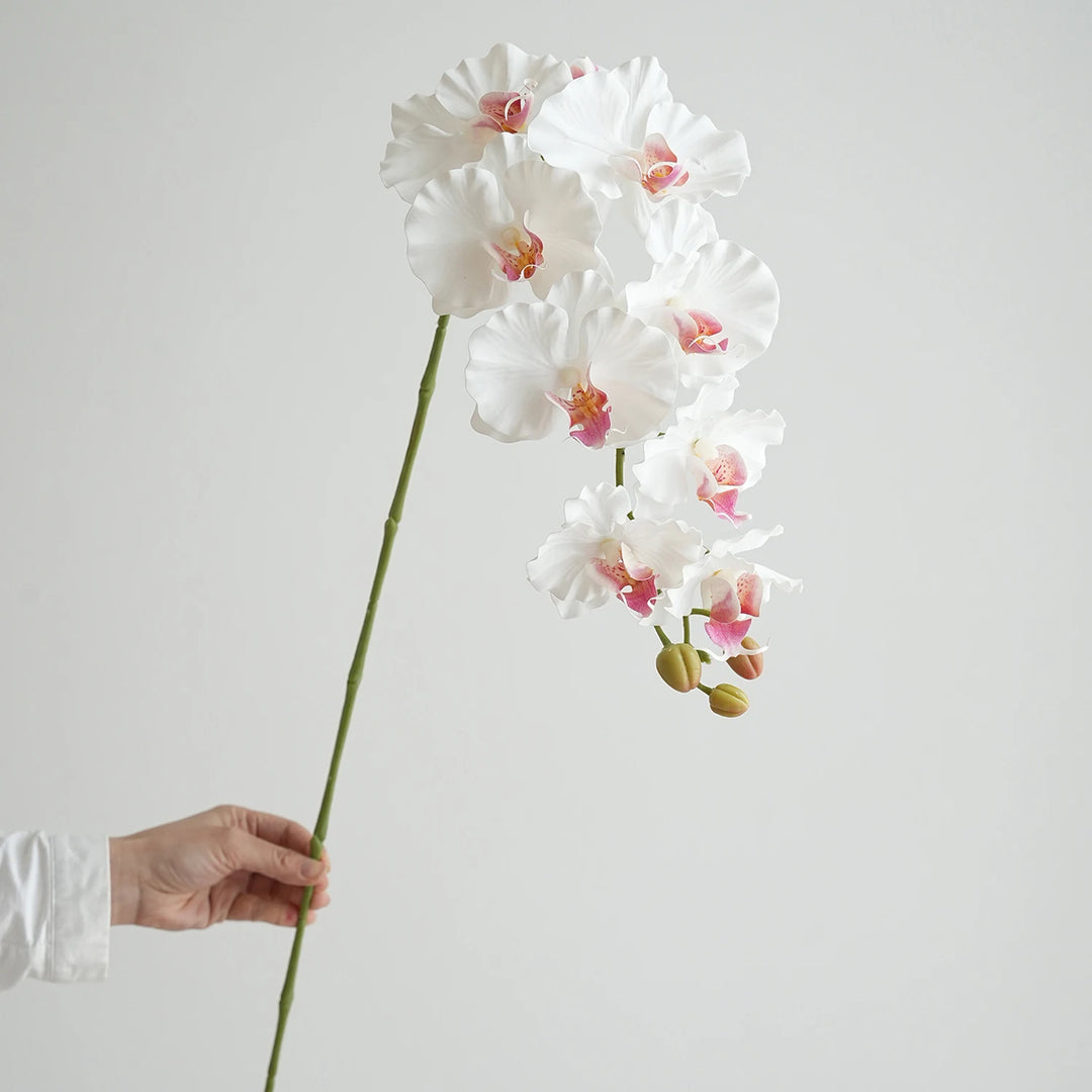 Faux Phalaenopsis Orchid Flowers