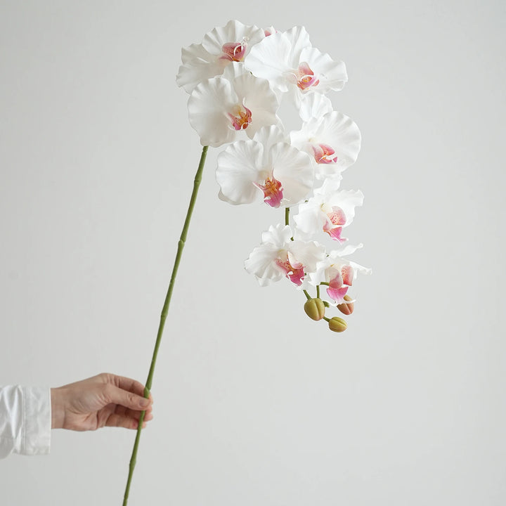 Faux Phalaenopsis Orchid Flowers