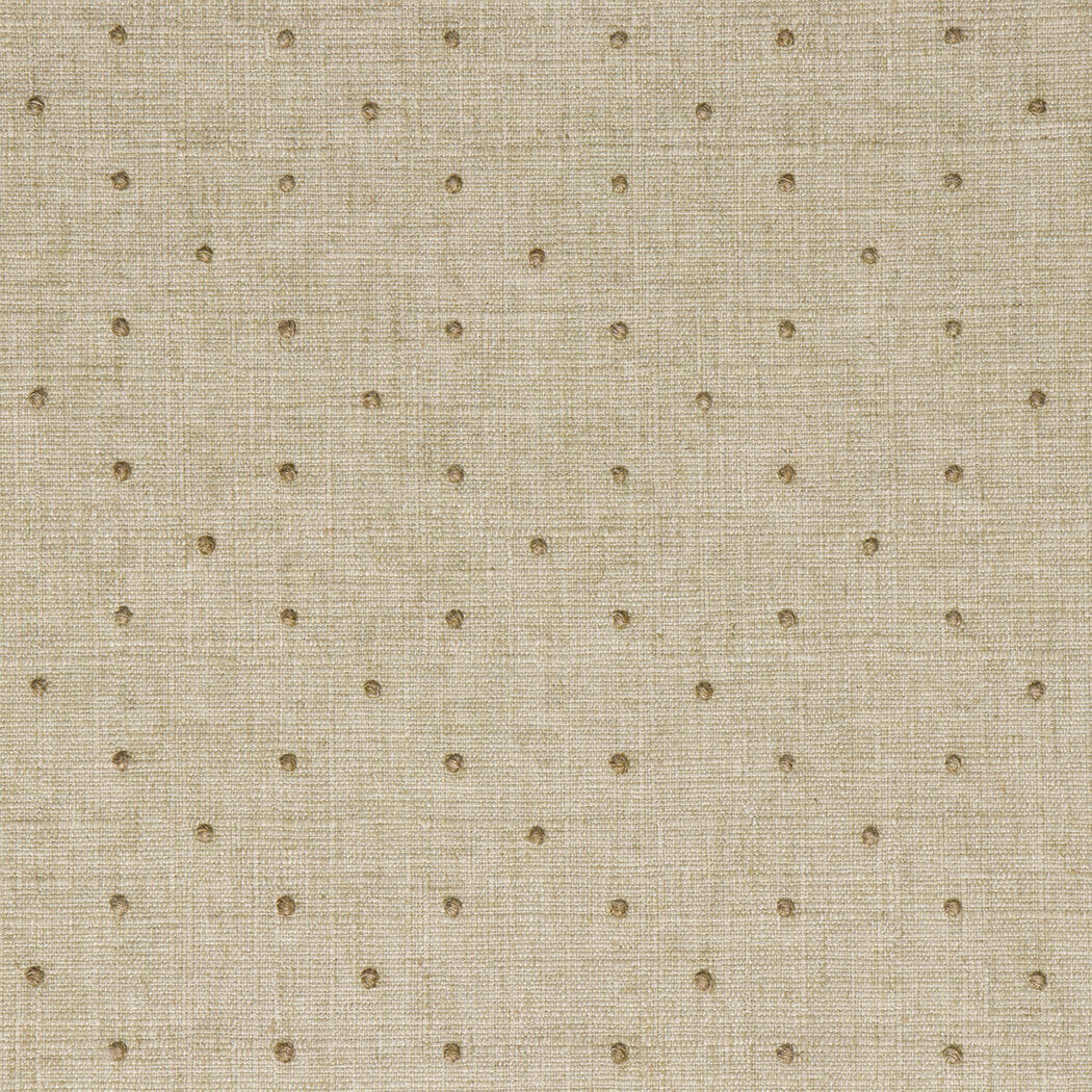 Fennimore swiss dot woven fabric in Aloe