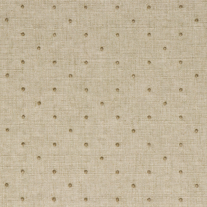 Fennimore swiss dot woven fabric in Aloe