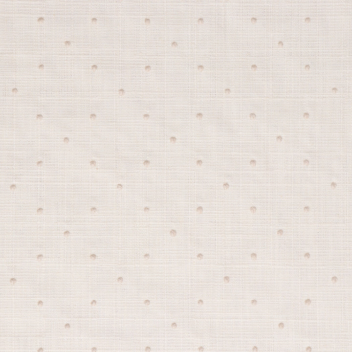 Fennimore swiss dot woven fabric in Eggshell