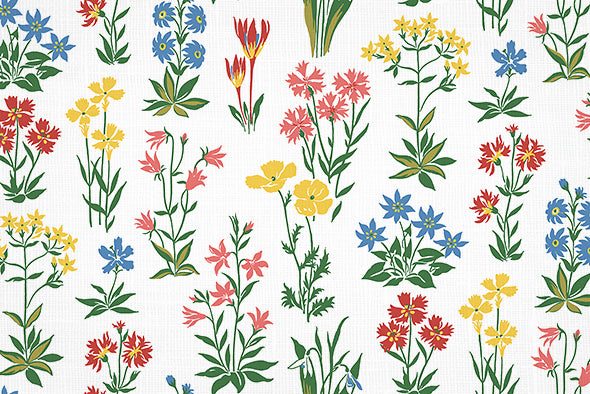 4  COLORS / Evie Cutie Floral 100% Cotton Fabric