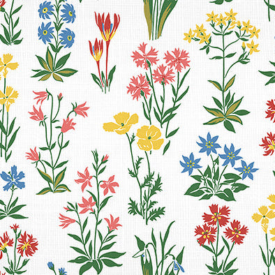 4  COLORS / Evie Cutie Floral 100% Cotton Fabric