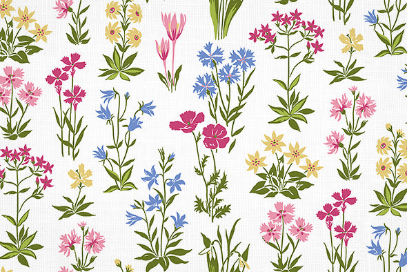 4  COLORS / Evie Cutie Floral 100% Cotton Fabric