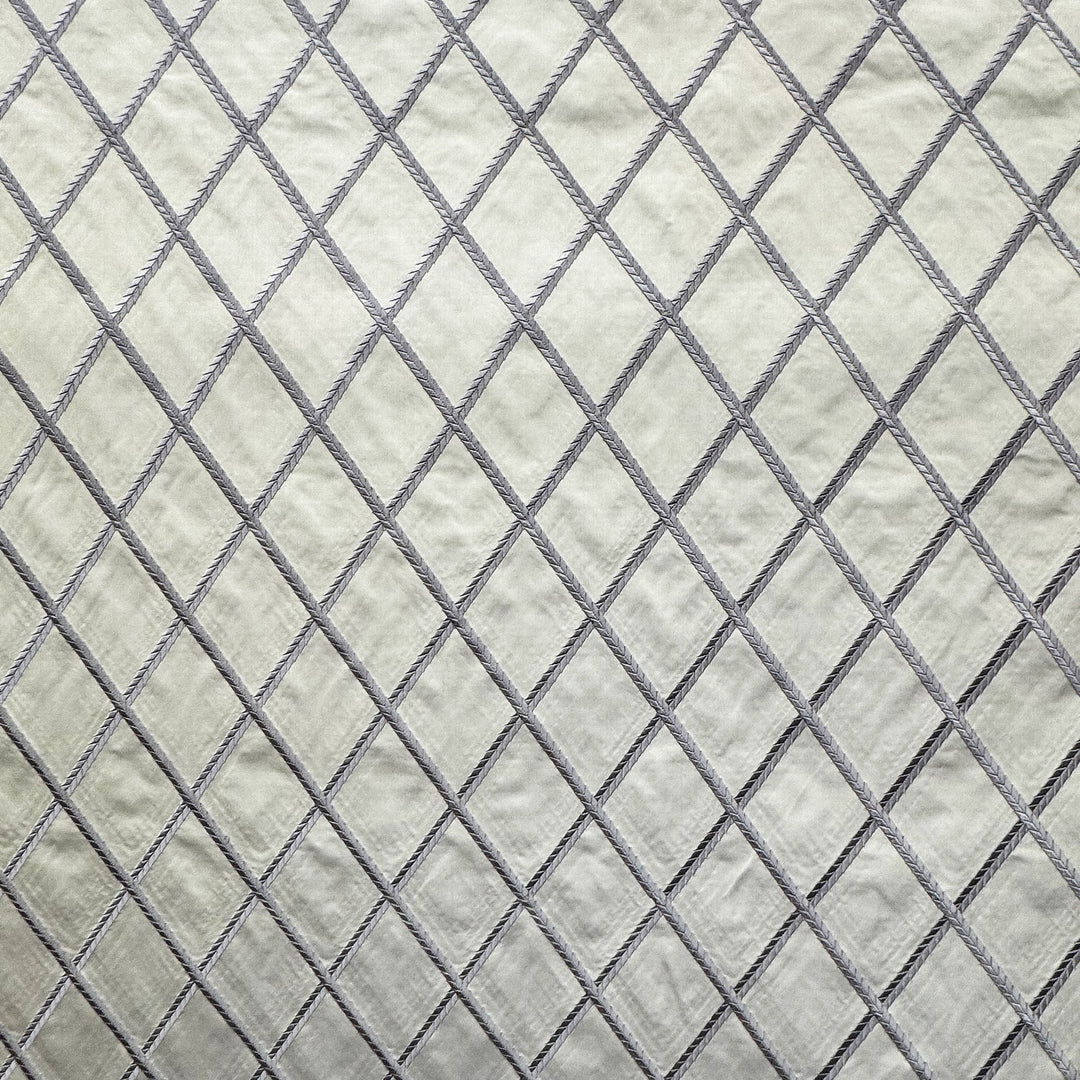 Helaria Diamond Embroidered Silk Fabric in Cappuccino