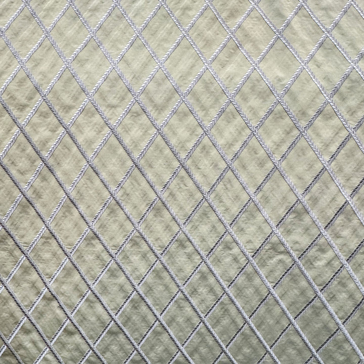 Helaria Diamond Embroidered Silk Fabric in Putty