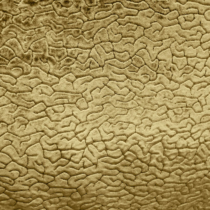 Sorelle Abstract Textured Velvet Fabric | 8 Colors