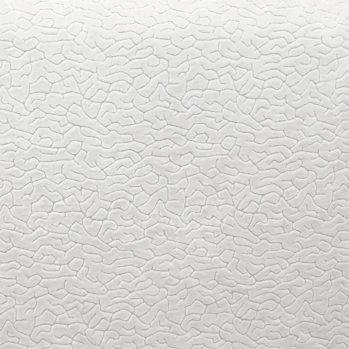 Sorelle Abstract Textured Velvet Fabric | 8 Colors