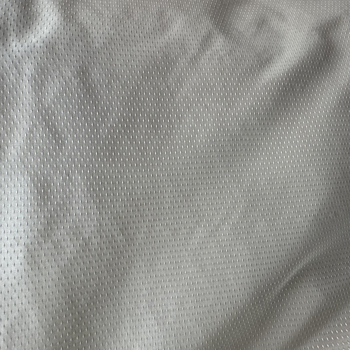 Brivanne Solid Dotted Silk Fabric in Pelle