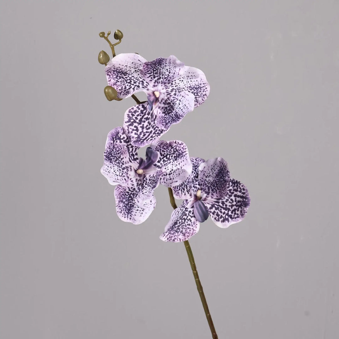 Dante 30 inch Phalaenopsis Orchid Artificial Flower