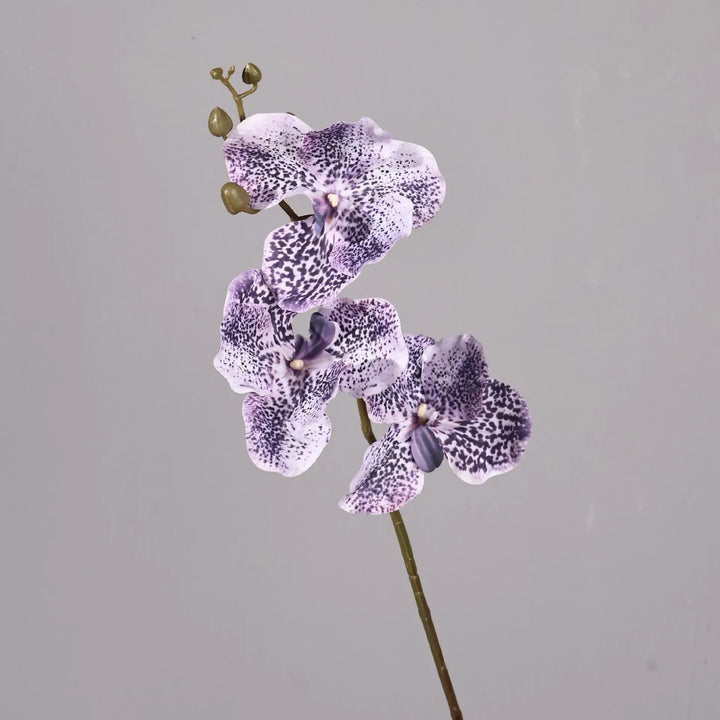 Dante 30 inch Phalaenopsis Orchid Artificial Flower