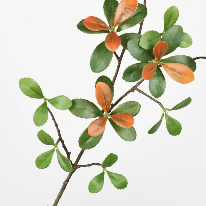 Clarisse 19 Inch Artificial Green Leaf Plant