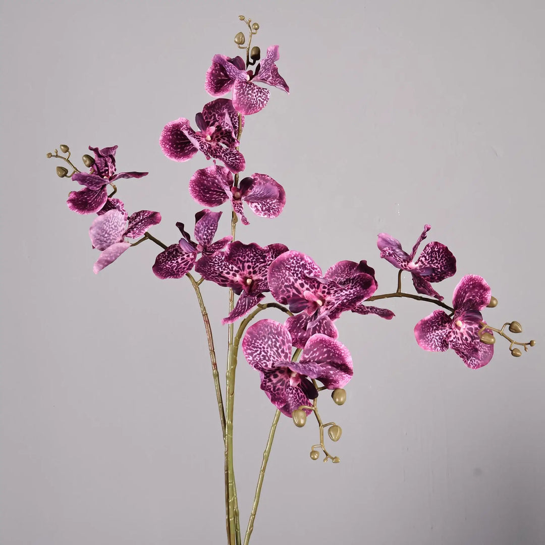 Dante 30 inch Phalaenopsis Orchid Artificial Flower