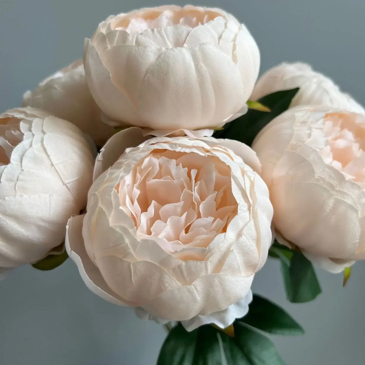 7 Large Peony Bloom Bundle
