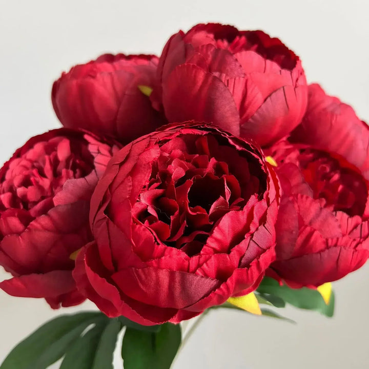 7 Large Peony Bloom Bundle