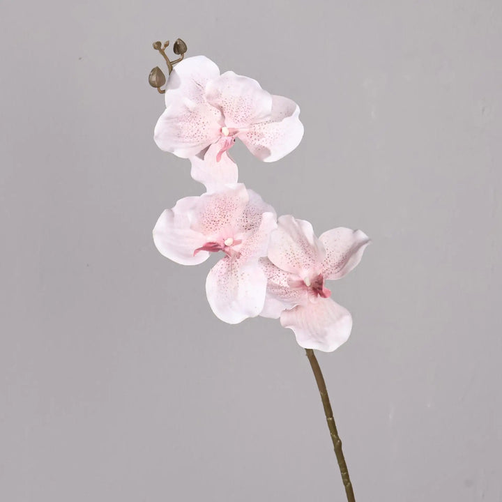 Dante 30 inch Phalaenopsis Orchid Artificial Flower