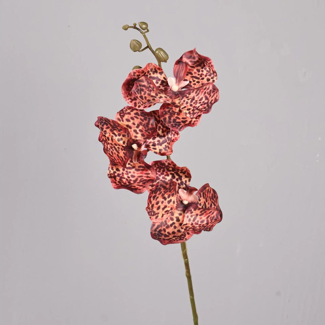 Dante 30 inch Phalaenopsis Orchid Artificial Flower