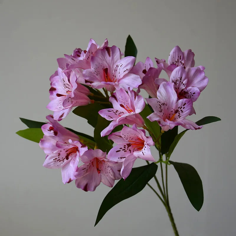 Jolie 36CM 15 Head Artificial Narcissus Lily Silk Flower