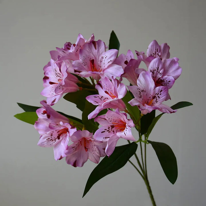 Jolie 36CM 15 Head Artificial Narcissus Lily Silk Flower