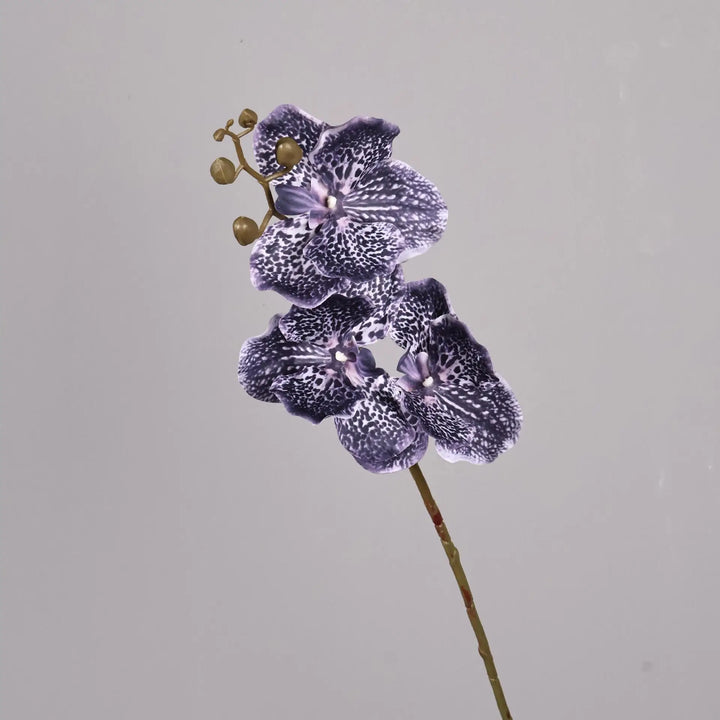 Dante 30 inch Phalaenopsis Orchid Artificial Flower