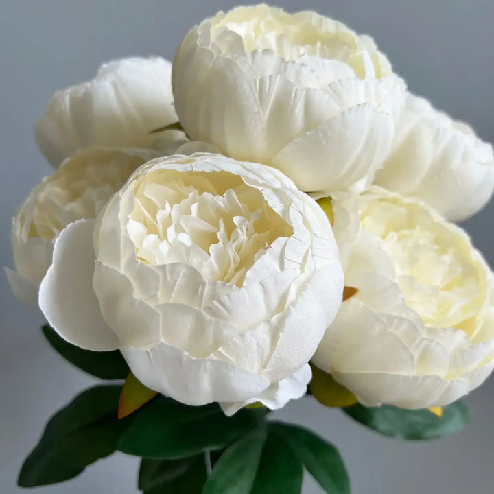 7 Large Peony Bloom Bundle