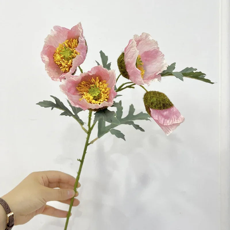 Multi Bloom Poppy Flower