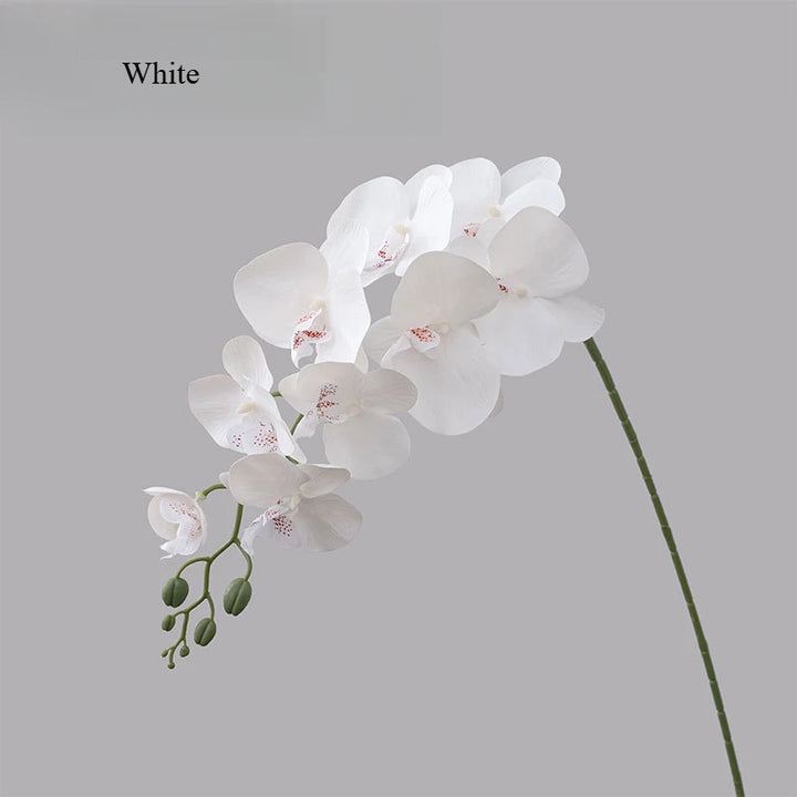 Echo 36 Inch Artificial Orchid