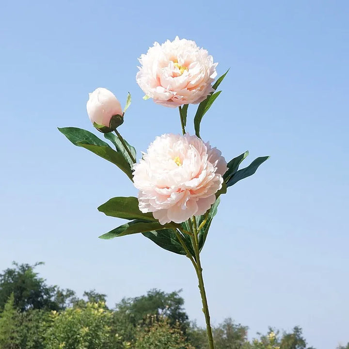 Briar 29 Inch Yangfei Peony Artificial Flower