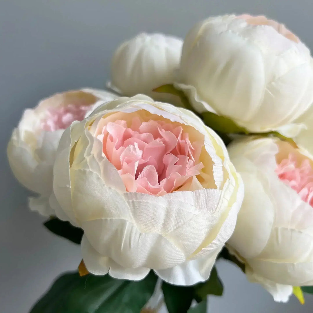 7 Large Peony Bloom Bundle