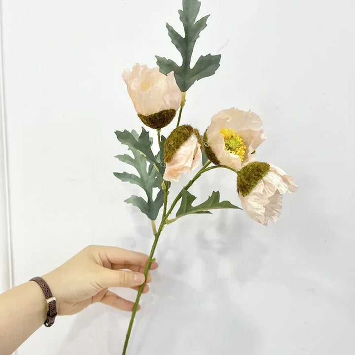 Multi Bloom Poppy Flower