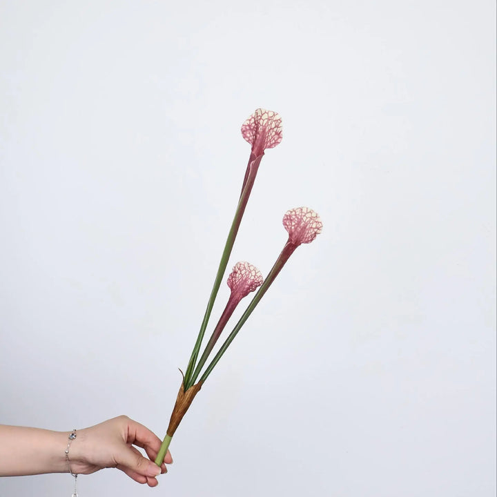 Maris 17 Inch Artificial Bottle Brush Plant