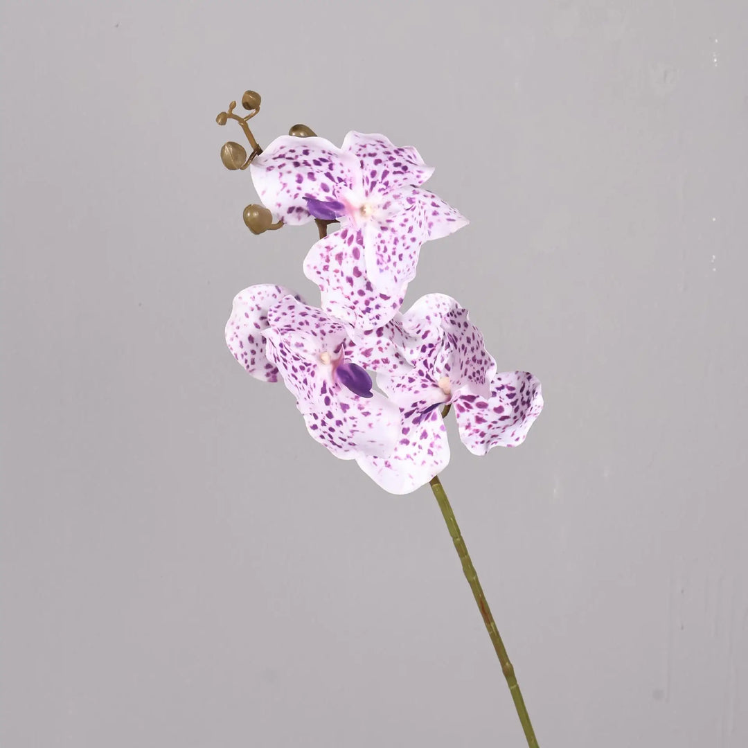 Dante 30 inch Phalaenopsis Orchid Artificial Flower