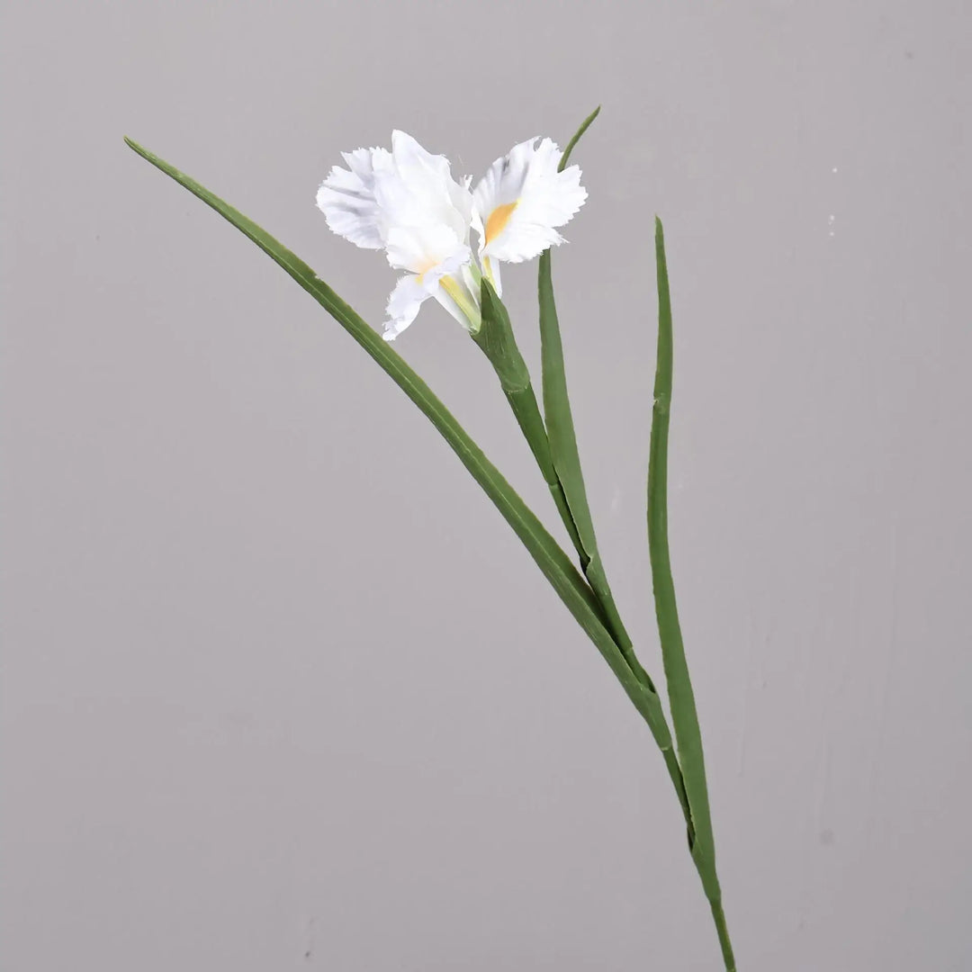Clara 27 inch Faux Iris Flower
