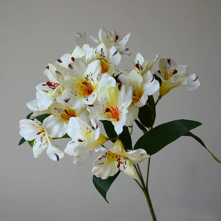 Jolie 36CM 15 Head Artificial Narcissus Lily Silk Flower
