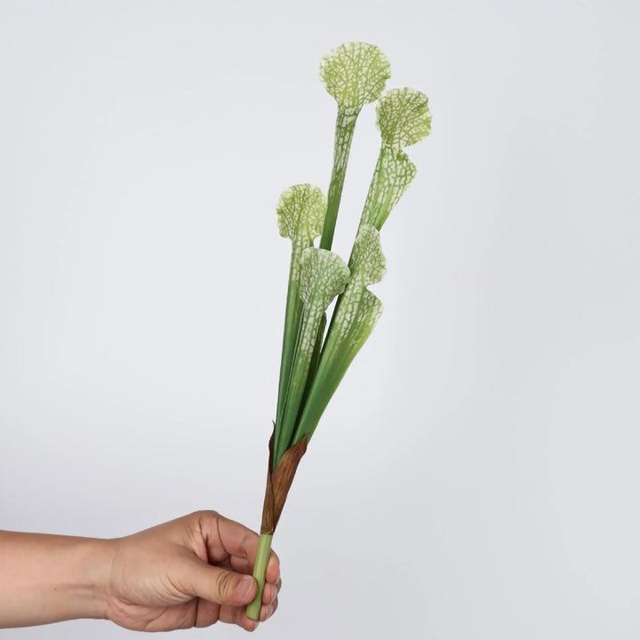 Maris 17 Inch Artificial Bottle Brush Plant