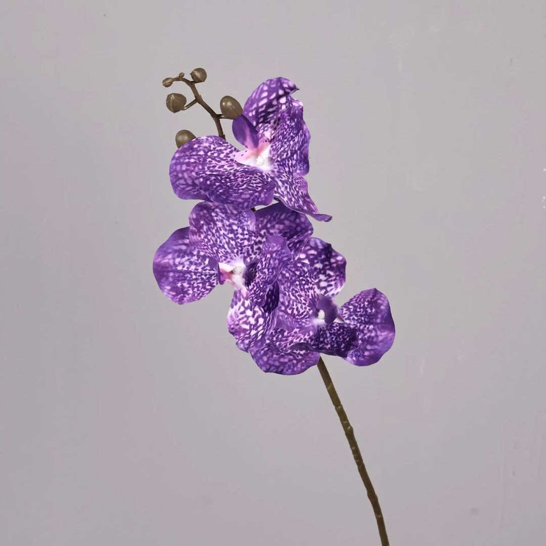 Dante 30 inch Phalaenopsis Orchid Artificial Flower