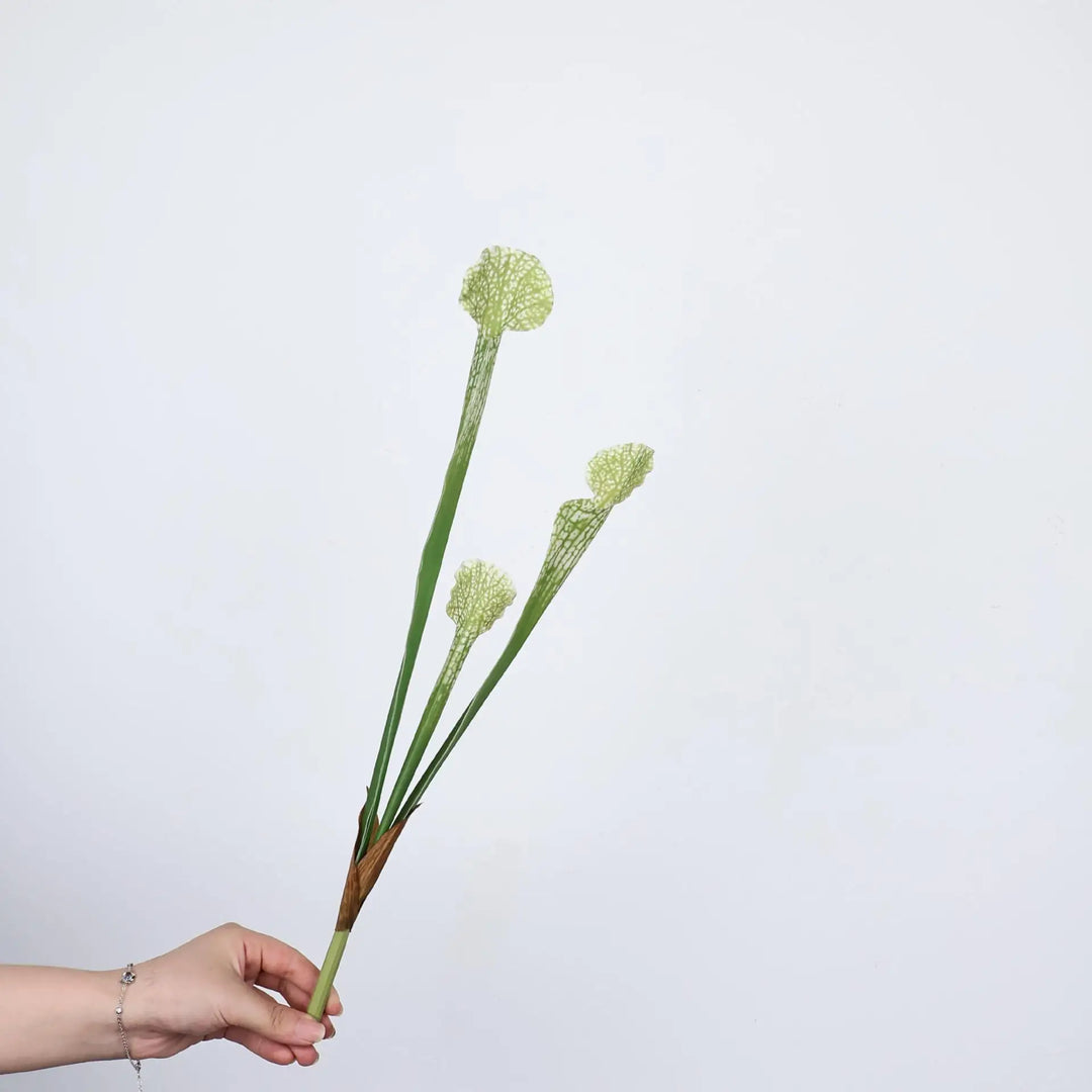 Maris 17 Inch Artificial Bottle Brush Plant